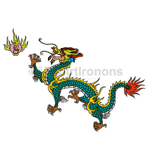 Dragon T-shirts Iron On Transfers N5446 - Click Image to Close